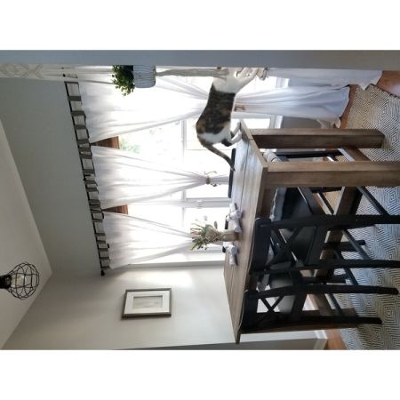 Customer image 113