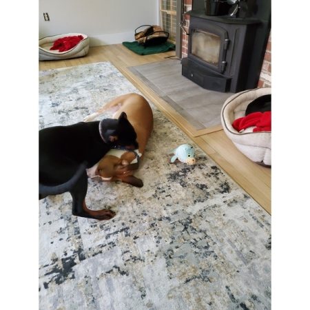 Customer image 226