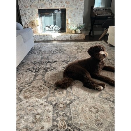 Customer image 15