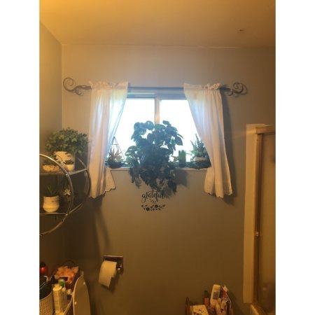 Customer image 2