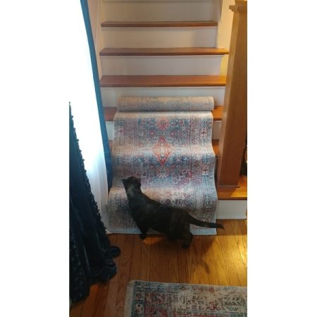 Customer image 484