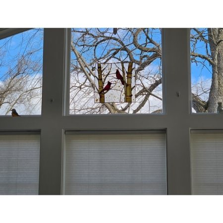 Customer image 1
