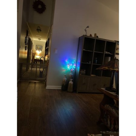 Customer image 49