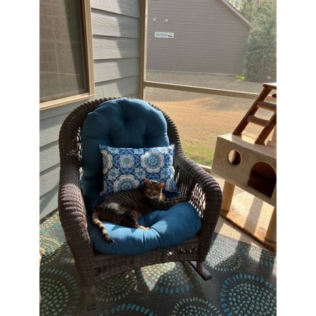 Customer image 2
