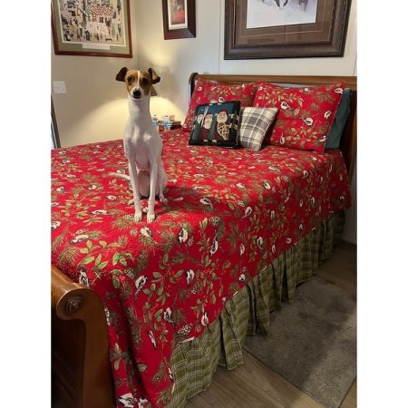 Customer image 3