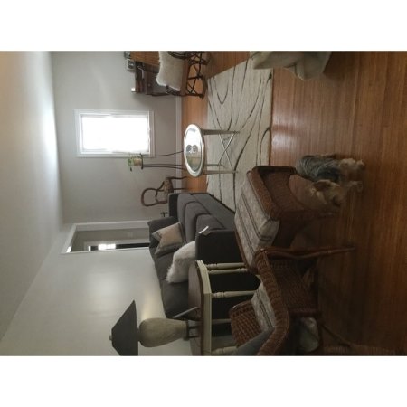 Customer image 461