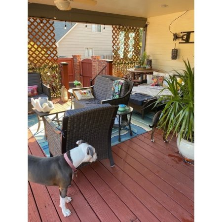 Customer image 119