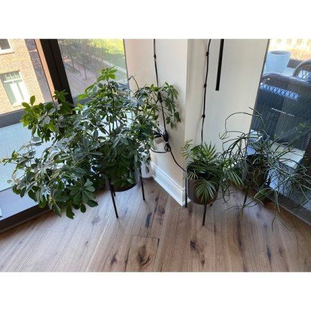 Customer image 2