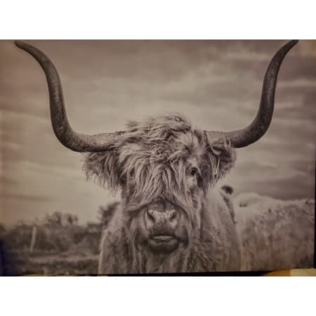 Customer image 21