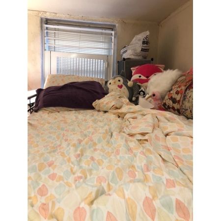 Customer image 255
