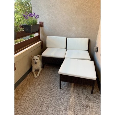 Customer image 174
