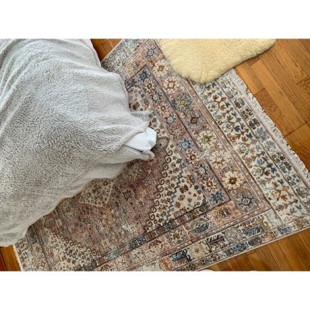Customer image 852
