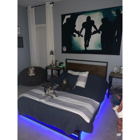 Customer image 368
