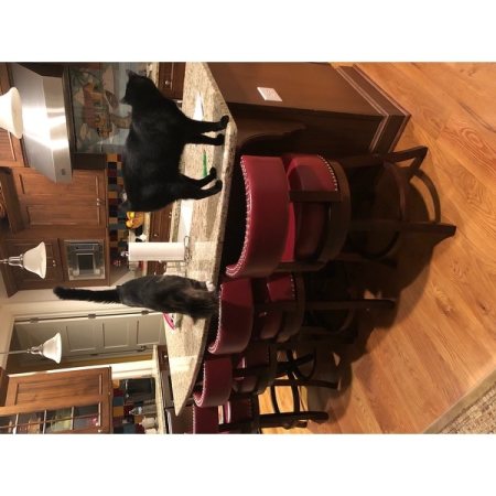 Customer image 14