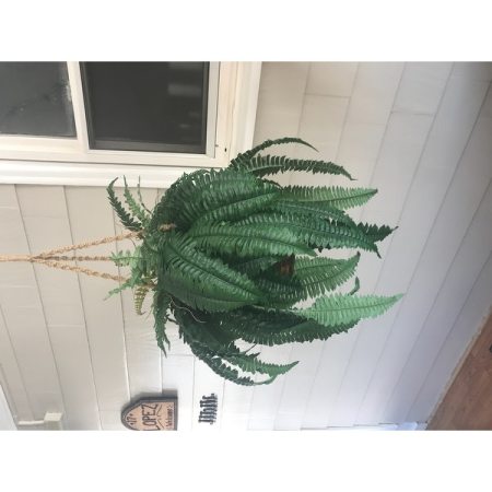 Customer image 16