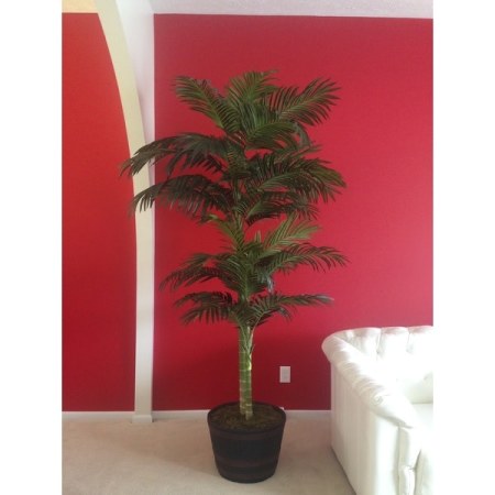 Customer image 8