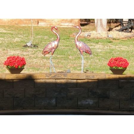 Customer image 1