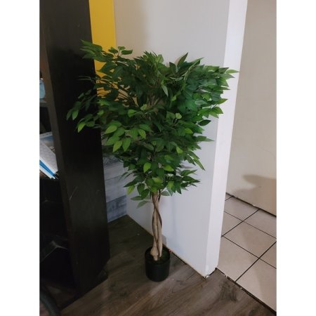 Customer image 47