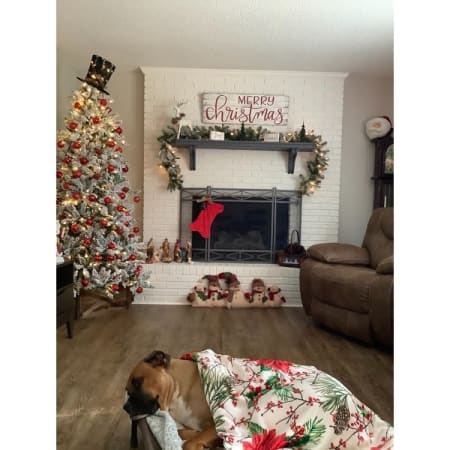 Customer image 17