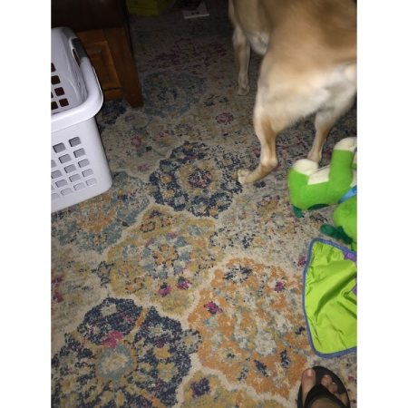 Customer image 1132