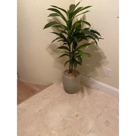 Customer image 29
