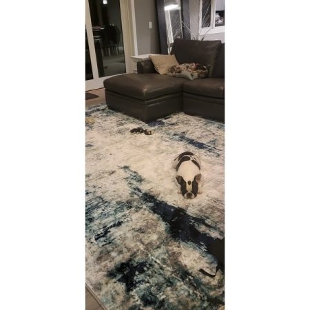 Customer image 37