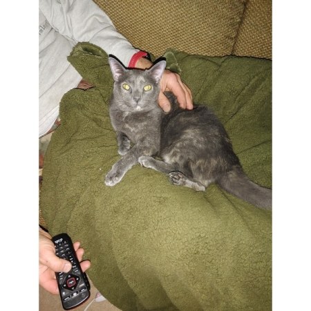 Customer image 2