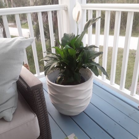 Customer image 21