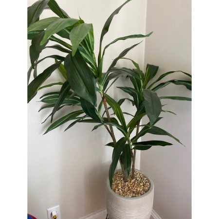 Customer image 17