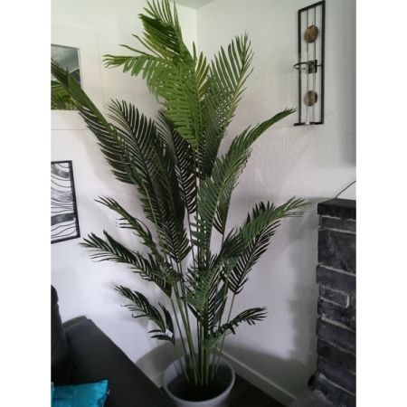 Customer image 17