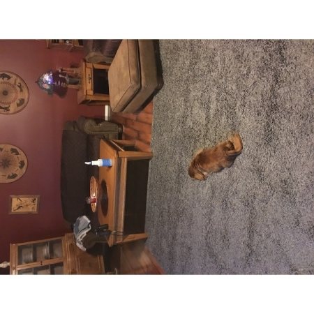Customer image 130