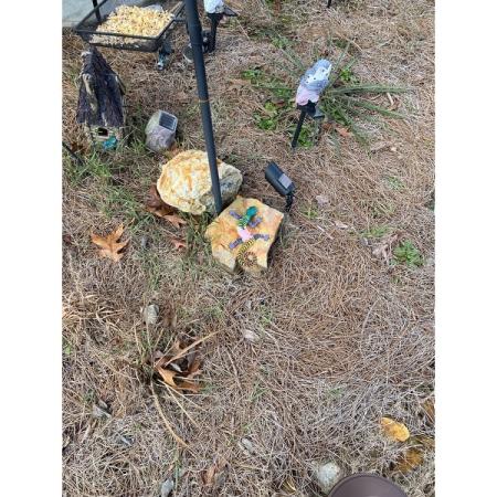 Customer image 9