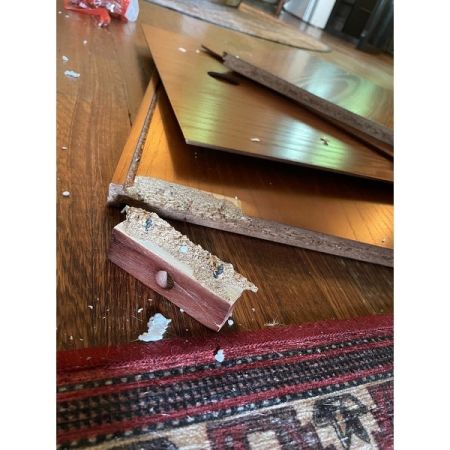 Customer image 20