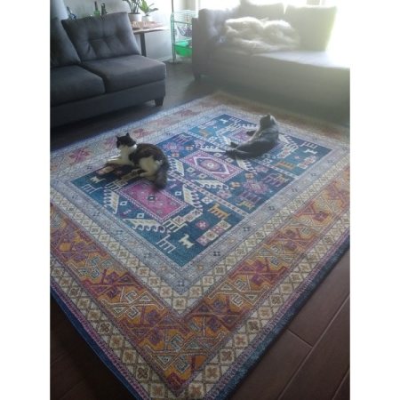 Customer image 311