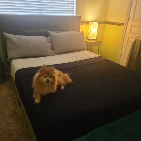Customer image 103