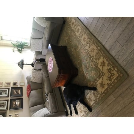 Customer image 18