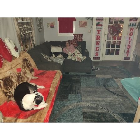 Customer image 40