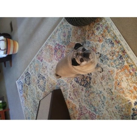 Customer image 1760