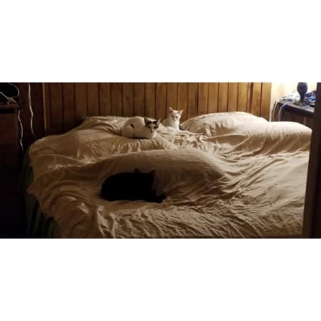Customer image 454