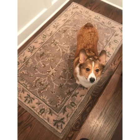 Customer image 15