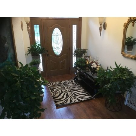 Customer image 68