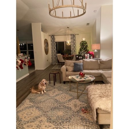 Customer image 16