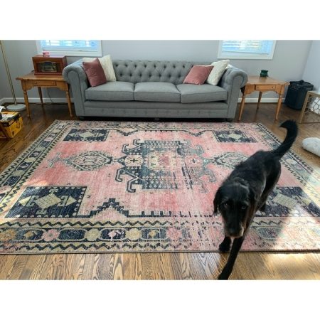Customer image 91
