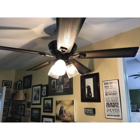 Customer image 58