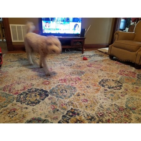 Customer image 1510