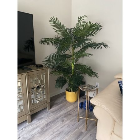 Customer image 66