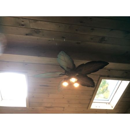 Customer image 44