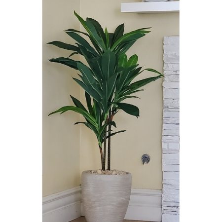 Customer image 51