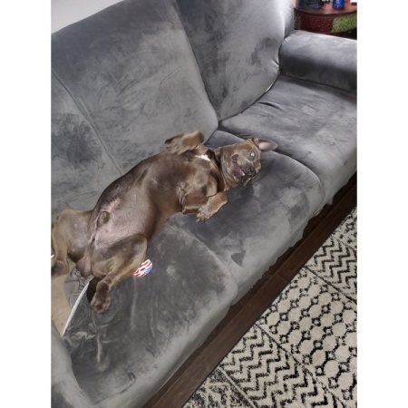 Customer image 157