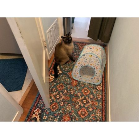 Customer image 9
